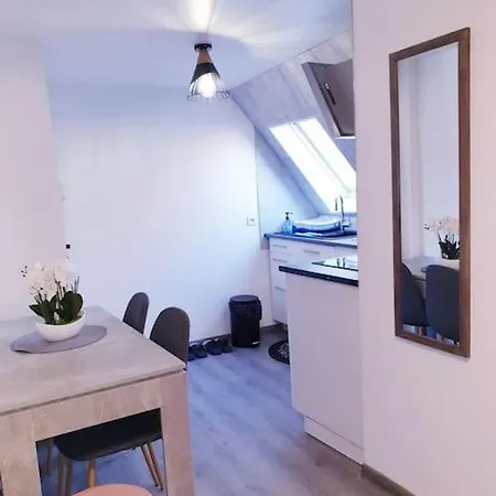 - 3 - Bel Appart,t2- Et Moderne 50m2 זלסטאט
